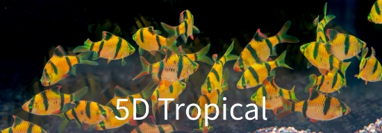 Picture of GLOFISH(R)BARB-SUNBURST ORANGE(R)(NO PR